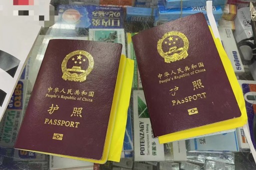 泰国旅游签续签12月：如何快速办理并避免常见问题