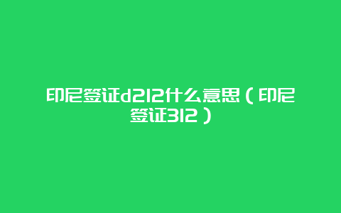 印尼签证d212什么意思（印尼签证312）