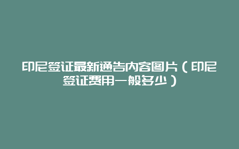 印尼签证最新通告内容图片（印尼签证费用一般多少）