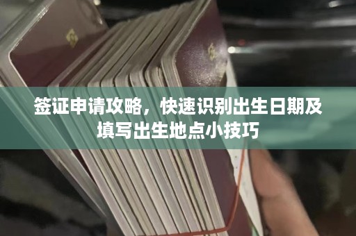 签证申请攻略，快速识别出生日期及填写出生地点小技巧