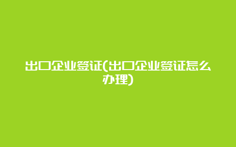 出口企业签证(出口企业签证怎么办理)