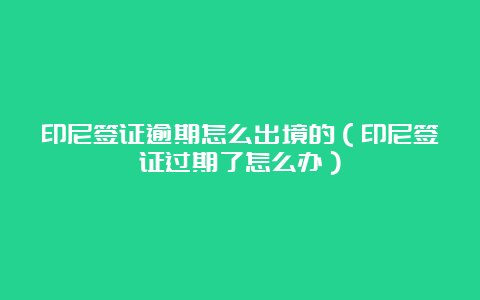 印尼签证逾期怎么出境的（印尼签证过期了怎么办）