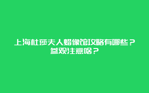 上海杜莎夫人蜡像馆攻略有哪些？参观注意啥？