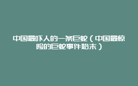 中国最吓人的一条巨蛇（中国最惊险的巨蛇事件始末）