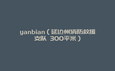 yanbian（延边州消防救援支队 300平米）