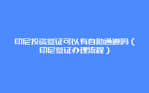 印尼投资签证可以有自助通道吗（印尼签证办理流程）