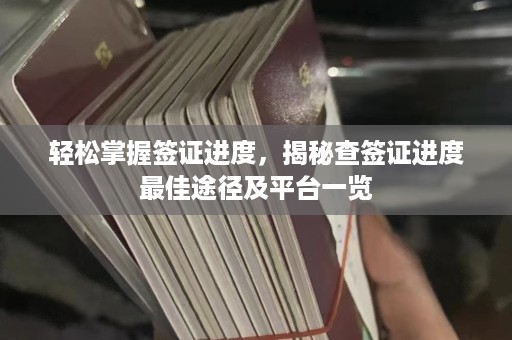 轻松掌握签证进度，揭秘查签证进度最佳途径及平台一览