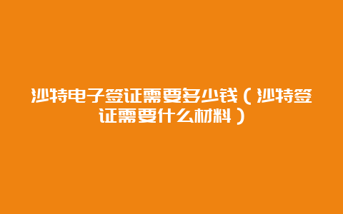 沙特电子签证需要多少钱（沙特签证需要什么材料）