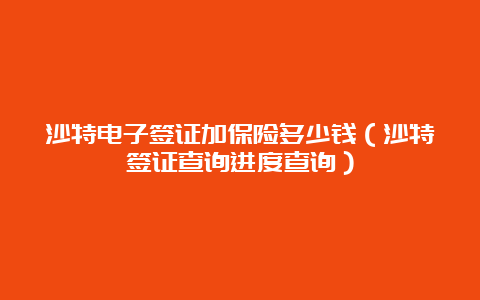 沙特电子签证加保险多少钱（沙特签证查询进度查询）