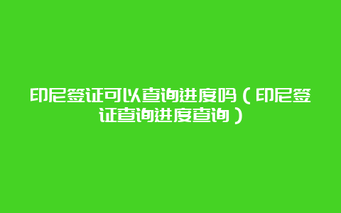 印尼签证可以查询进度吗（印尼签证查询进度查询）